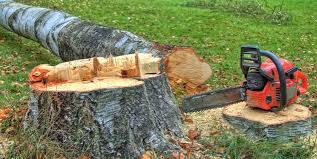 Best Firewood Processing and Delivery  in Uvalde, TX