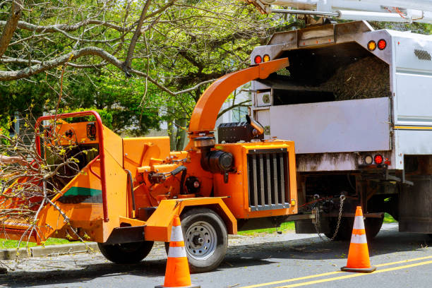 Best Leaf Removal Services  in Uvalde, TX